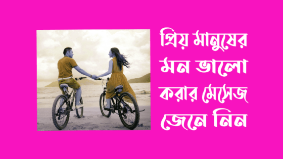 Blog 16 প্রিয় মানুষের মন ভালো করার মেসেজ