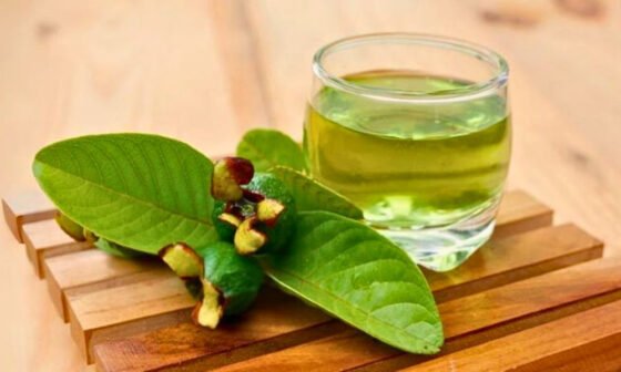 Blog 10 কম দামি, সহজলভ্য ও পুষ্টিকর ফলের মধ্যে সবার আগে আসে পেয়ারার নাম। এমন উপকারী ফল খুব কমই আছে। বলা হয়ে থাকে, আপেলের চেয়েও বেশি উপকার এই পেয়ারায়। তাই চিকিৎসকরা প্রতিদিন একটি করে পেয়ারা খাওয়ার পরামর্শ দিয়ে থাকেন। তবে পেয়ারার পাশাপাশি পেয়ারা পাতায় রয়েছে নানা উপকার। নিয়মিত এক মাস এই পাতা খেলে দারুণ উপকার মিলবে! ঝুঁকি কমবে বিভিন্ন রোগের। কোন কোন রোগের হাত থেকে মুক্তি দিতে পারে এই পাতা, চলুন জেনে নেওয়া যাক। ১